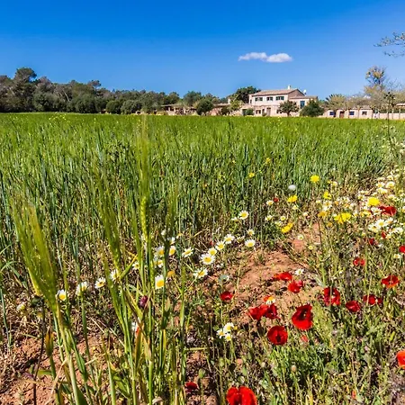 Sa Cova Den Borino * Campos (Mallorca)
