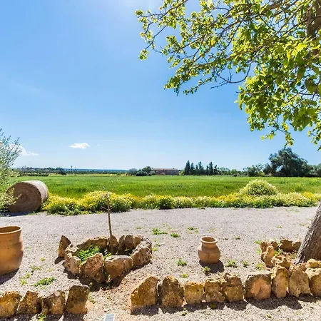Bauernhof Sa Cova Den Borino Campos (Mallorca)