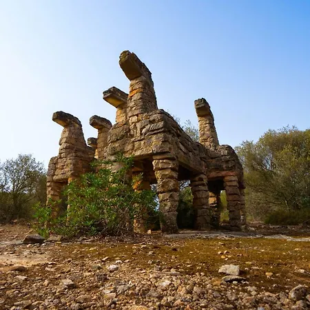 Sa Cova Den Borino Bauernhof Campos (Mallorca)